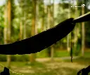 Tarp Hammock 15d (2).webp